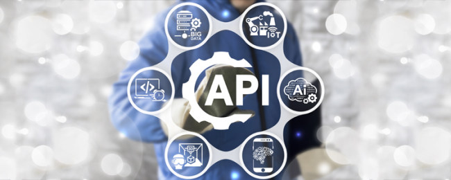 企业四要素API接口详解：助力企业投资发展