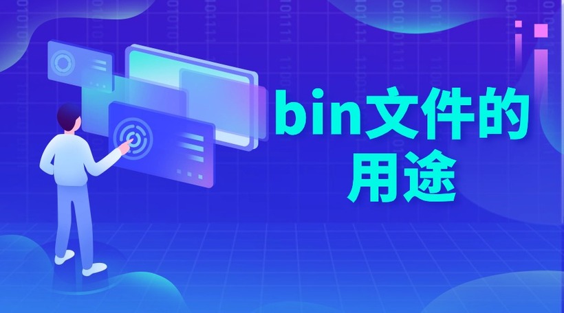 bin文件的用途